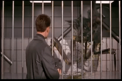 w10sTz4PPMz92RM9.gif