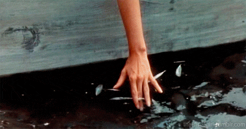 J7d0wI7RnB6rbQlW.gif