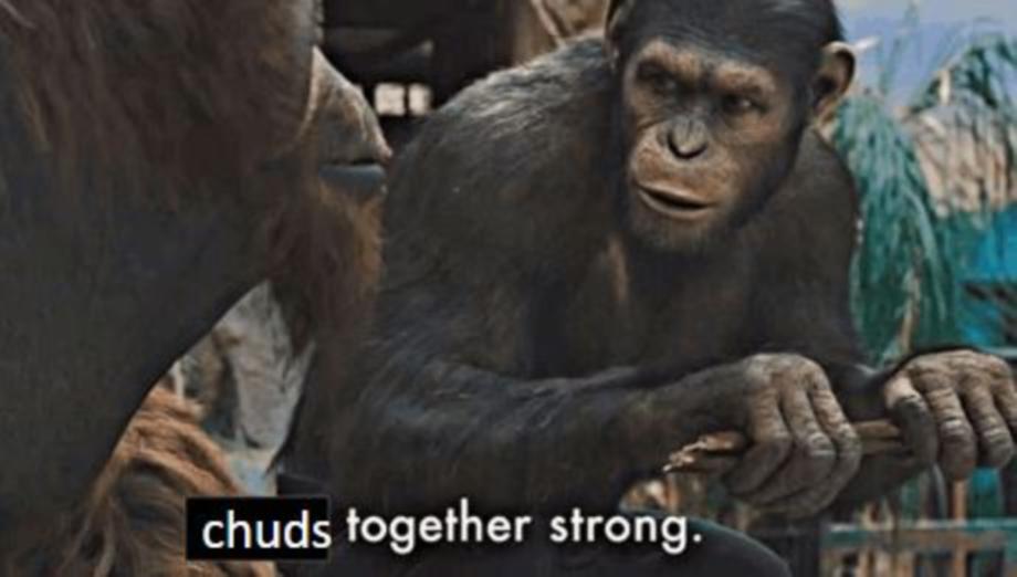 Xxz5CRu8Xe6IvtXq.jpg