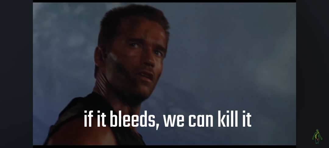 a23JFbsZHYq1px2S.png