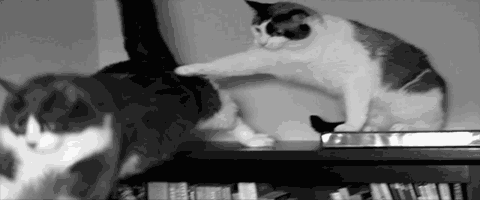 EK3hO7J40isavn1Y.gif