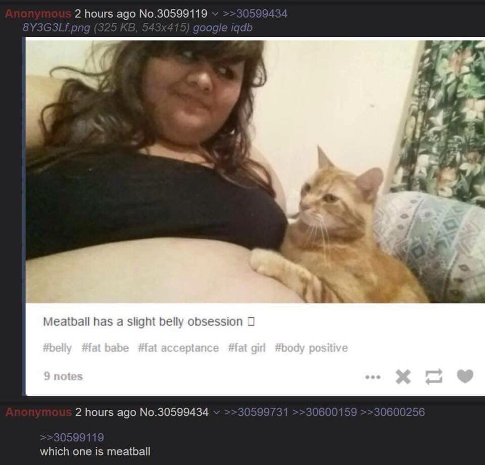 0fE08gYEhOOAgYtR.jpg