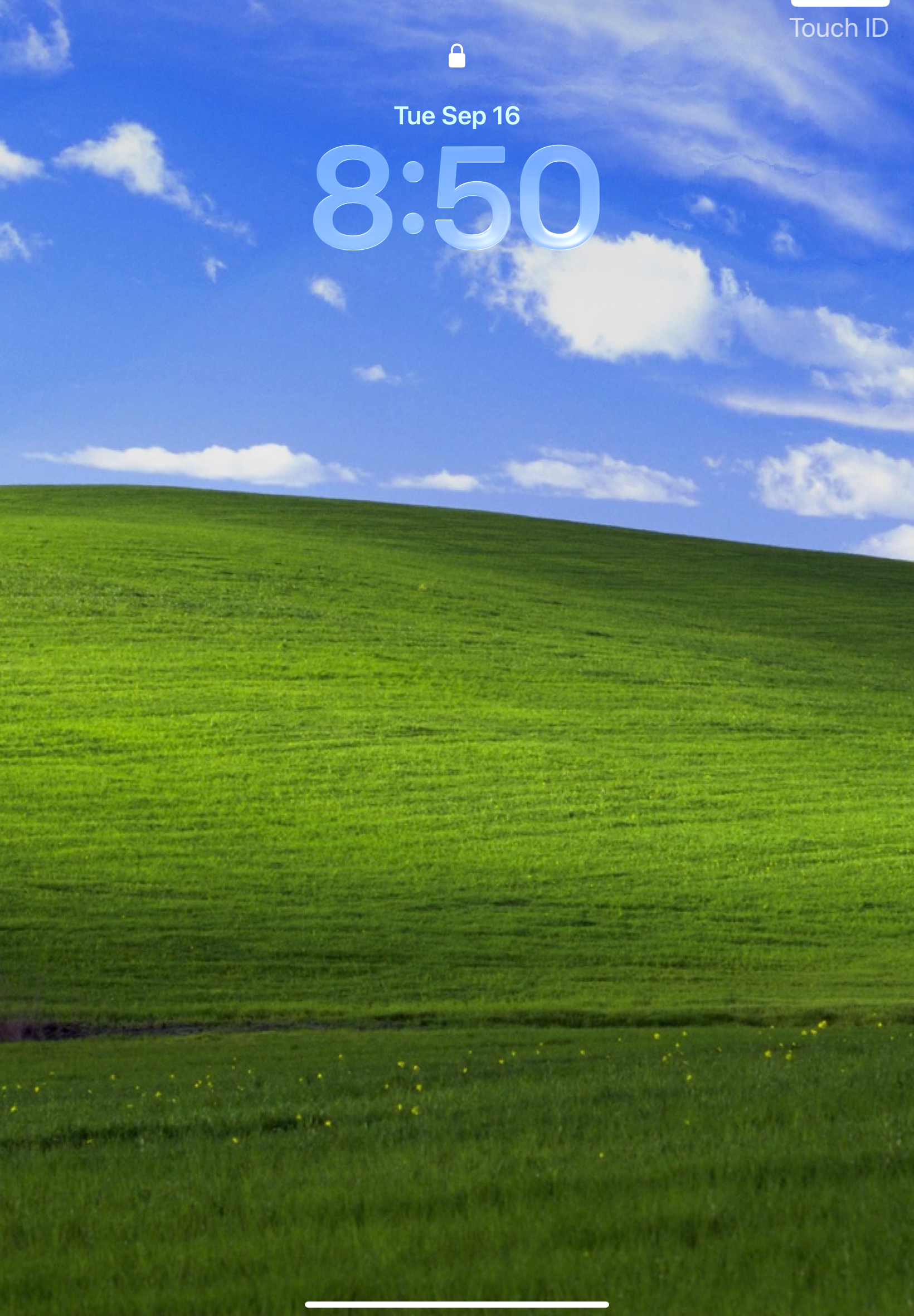 RBNOpZSF7u1JgbxG.png
