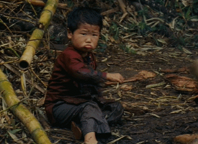 1EYR4iSL7RQhZkIm.gif