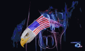 5WXU97QIBvnAERxi.gif