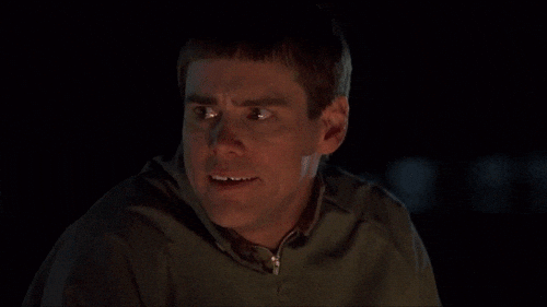 Z1Qg8sUW9aYi5t8q.gif