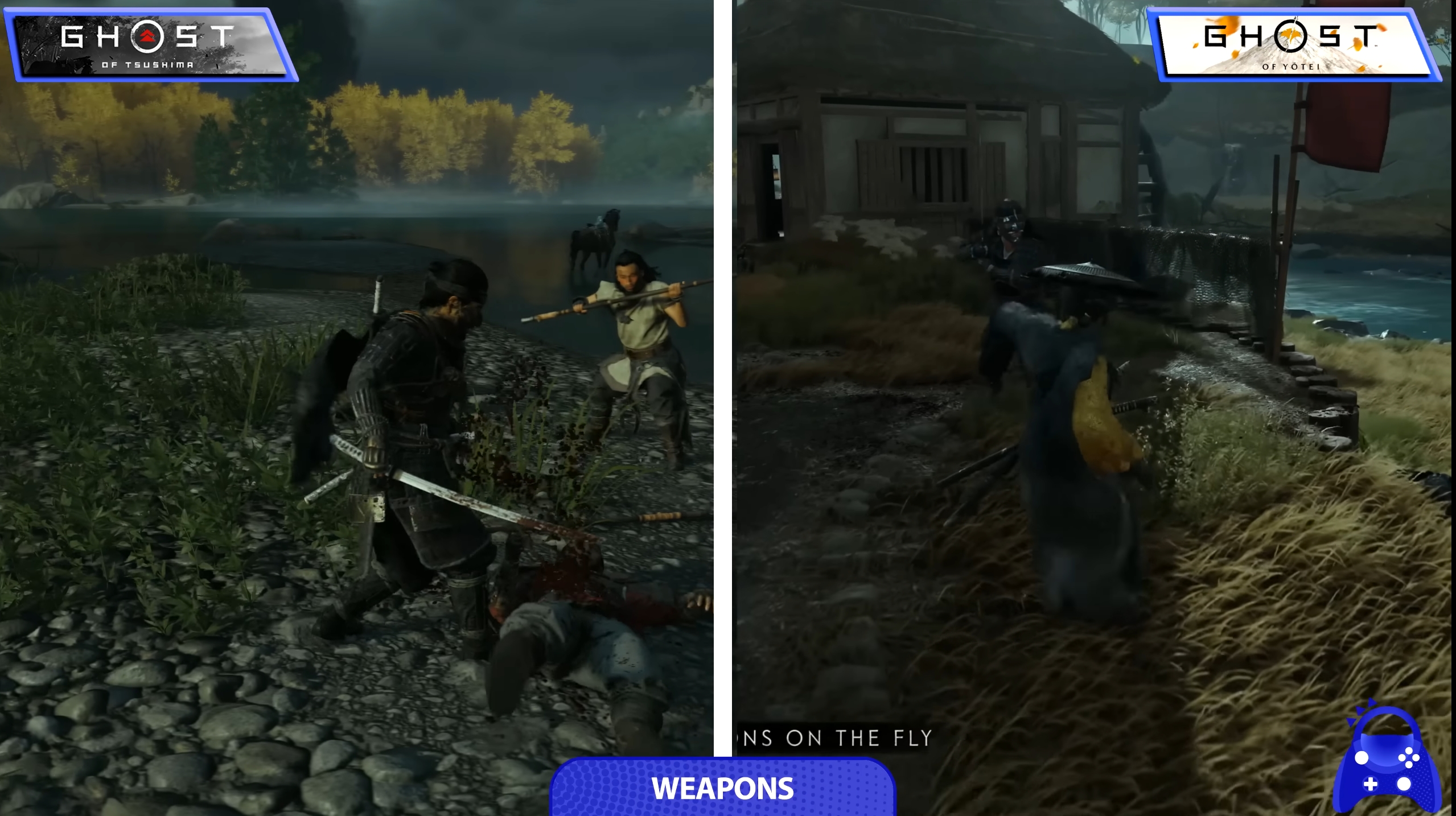 TnYNRY7pLSMspO8k.jpg
