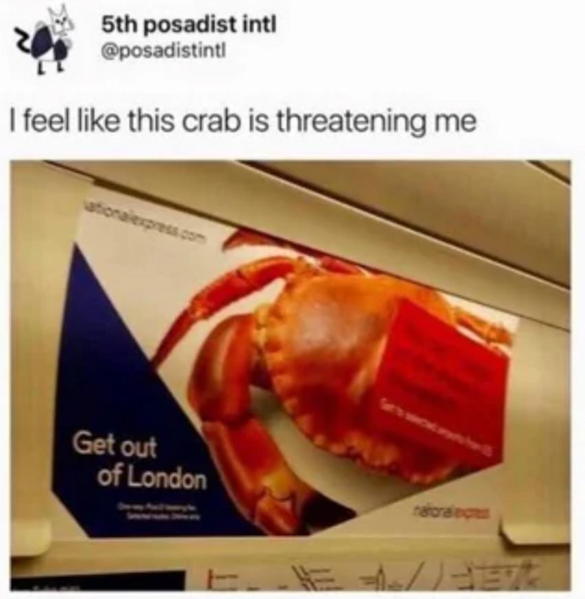 lQPP7n85MYfxs23J.jpeg