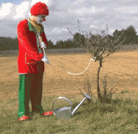 mr1eGbopwuwe1nZ1.gif