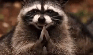 3xKUQeC4UQY31Gzk.gif