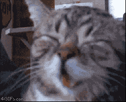 C51O9aEv1NQ7XuGm.gif
