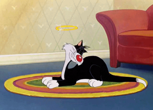 18cGckVeENj4sGLY.gif