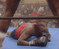 2cK9KS1KbqB2frh3.gif