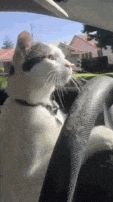 6fJW5fNVp6PXBS7N.gif
