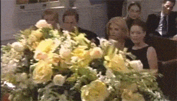 6l8hTsP15MtJ1qBZ.gif