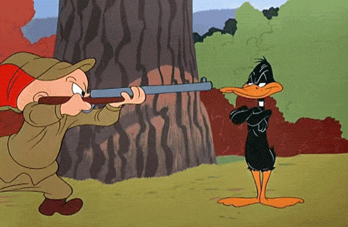 EXWc5auIPHqV9YcF.gif