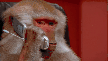 KP3YsLOKcpjYc5vj.gif