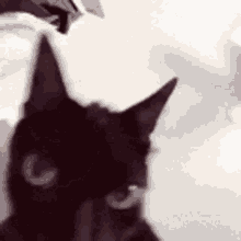 q9XKa0nA0e0AcJdK.gif