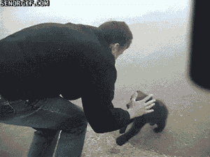 sSrhFZsBVXHO1Yim.gif