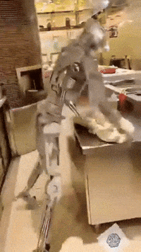 9WLg8jBeJ5sS4nFs.gif