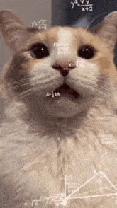 edBiwOTAtViFhCI2.gif