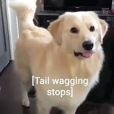 OIuiuJrnAYpPwCJL.jpg