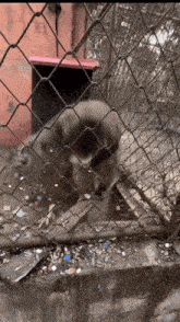 UF2NKeCrDJIZwbUv.gif