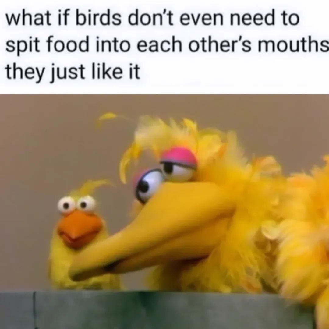 2VEQ7NMvhXHiyjr6.jpg
