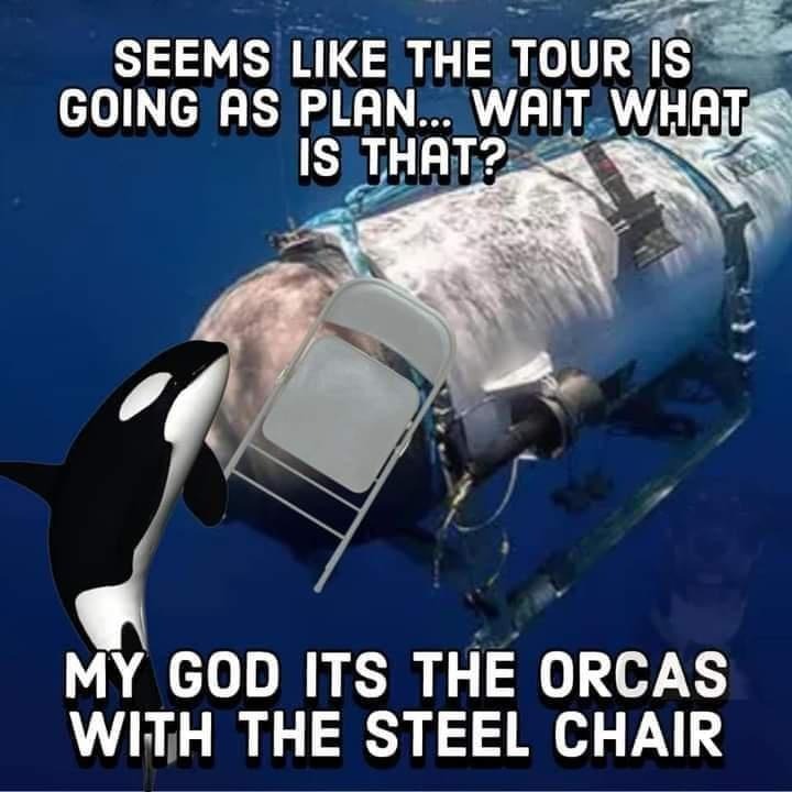 8zHroOZO8v5GnlgI.jpeg