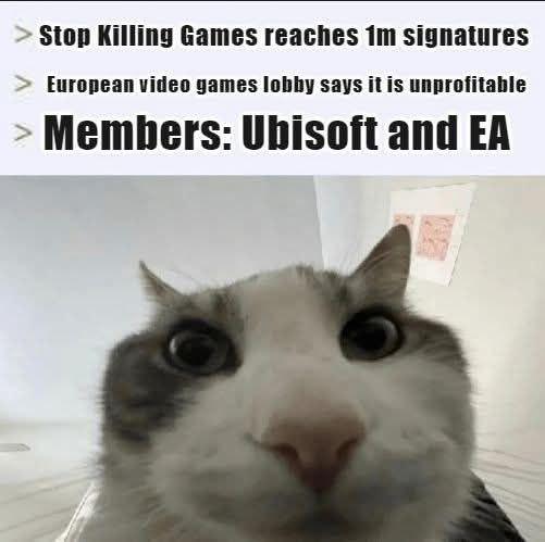 A6MVLBnaau4mgixA.jpeg