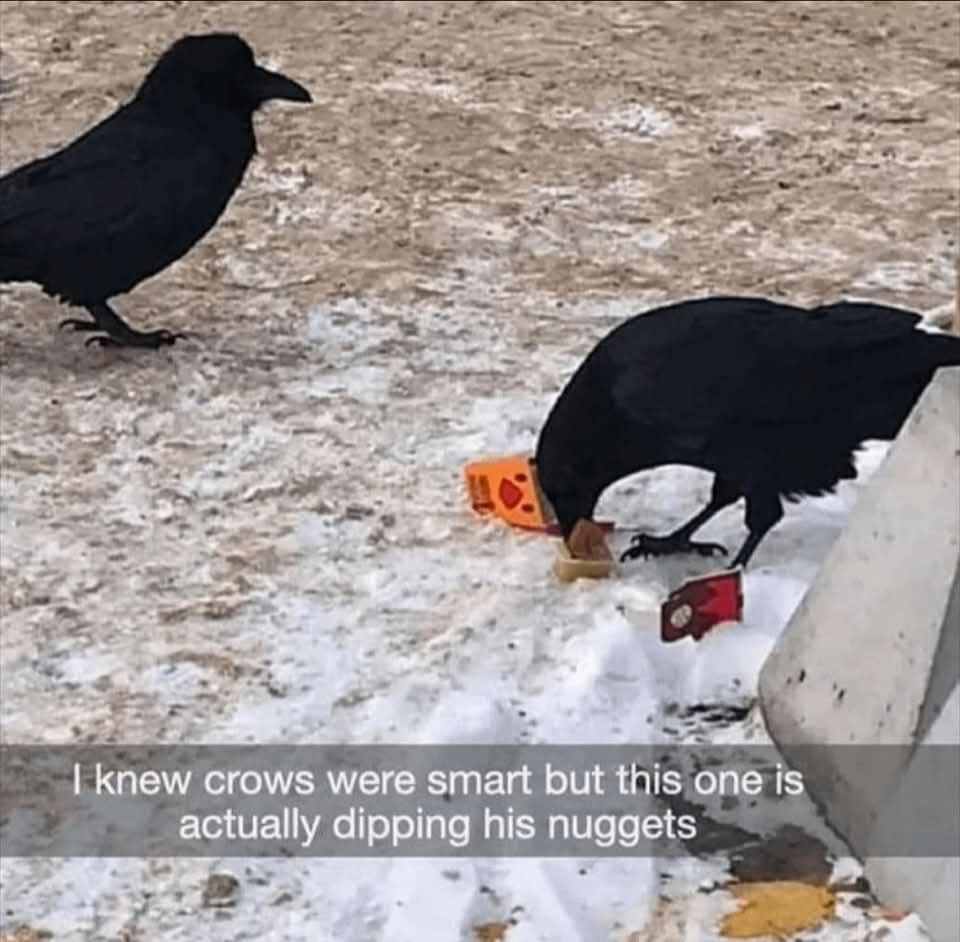 E2HcZgo1yu0ABT1O.jpg