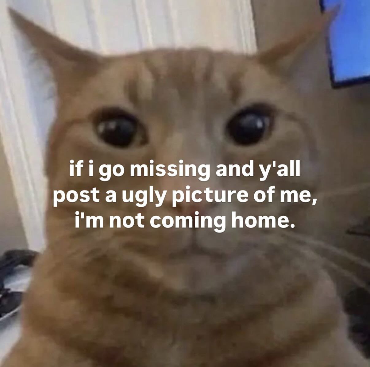 M9lorNUyWt4Qwwte.jpg