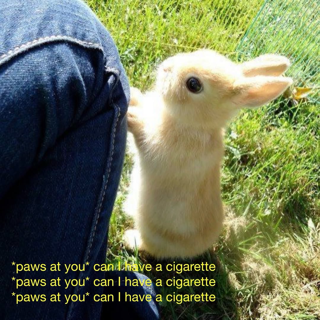 MNYKTxruoW2ezA5E.jpg