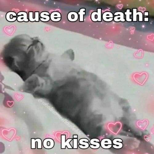 Ox7jUpR5VfnMPqzz.jpg