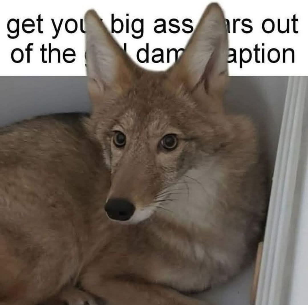 RU6Rb5oPAfppk8YQ.jpg