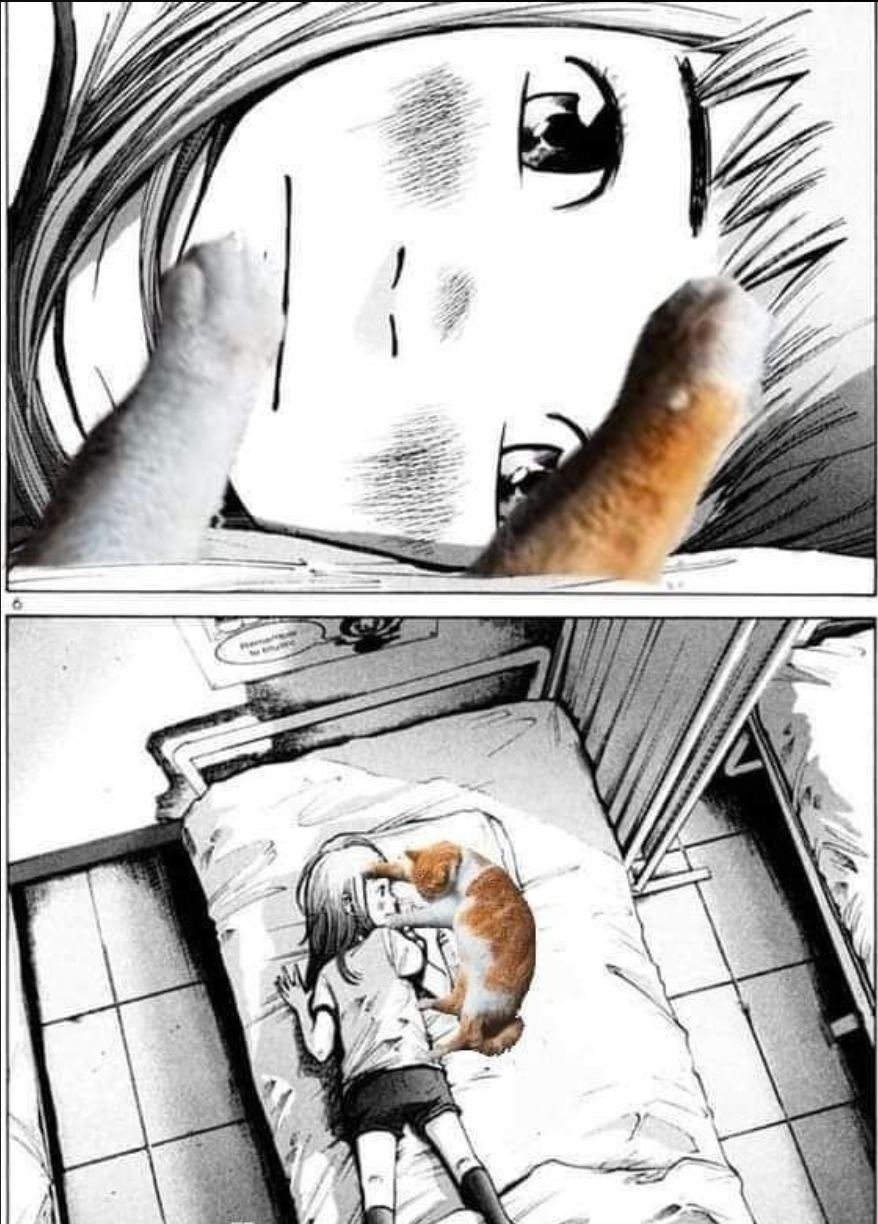 Yx2sNJMRM2wMd7c4.jpg