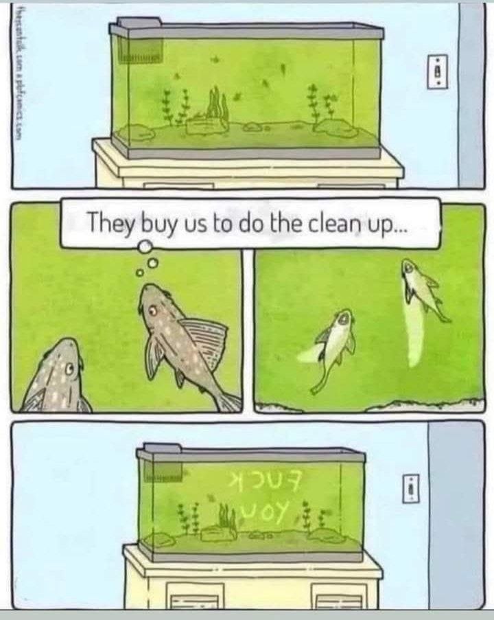 fcIx2LjTcQlMMdR1.jpg