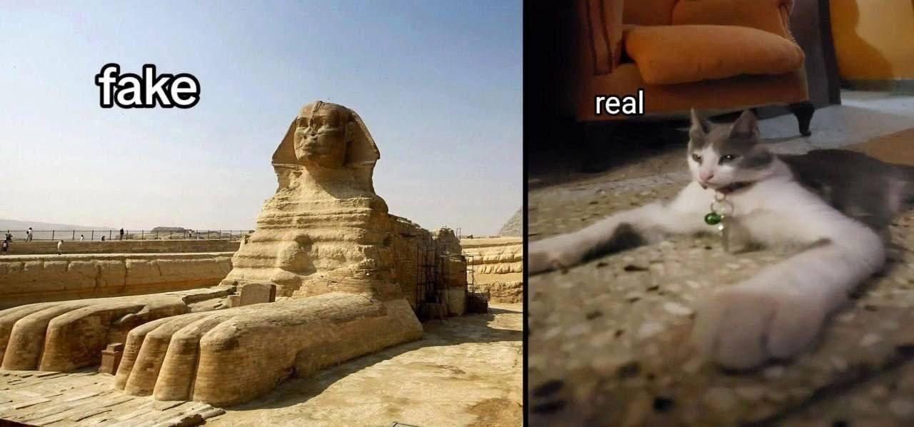 p7aMKO5FgEog9o0N.jpeg