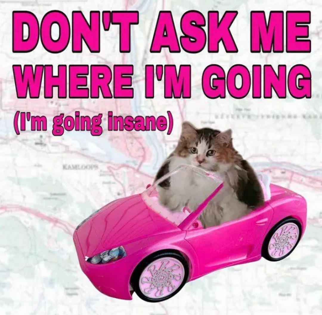OPbh8Y9csC3nEAbZ.jpg