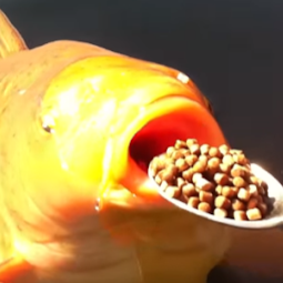 h9ePjbVlYLJvVJec.png
