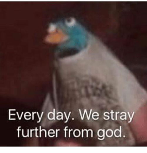bfSf1eUqetEBmsiy.jpg