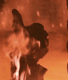 c5Pw5VXLe6Yqy56k.gif