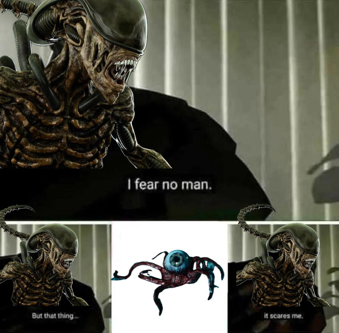 OUeNBKwurwGGVNHJ.jpeg