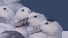 4gbCZOjFgXfmhyRh.gif