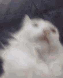 aHJ5g5lMLbAT1giL.gif