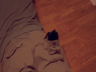 eBPxCPVYprEWldyW.gif