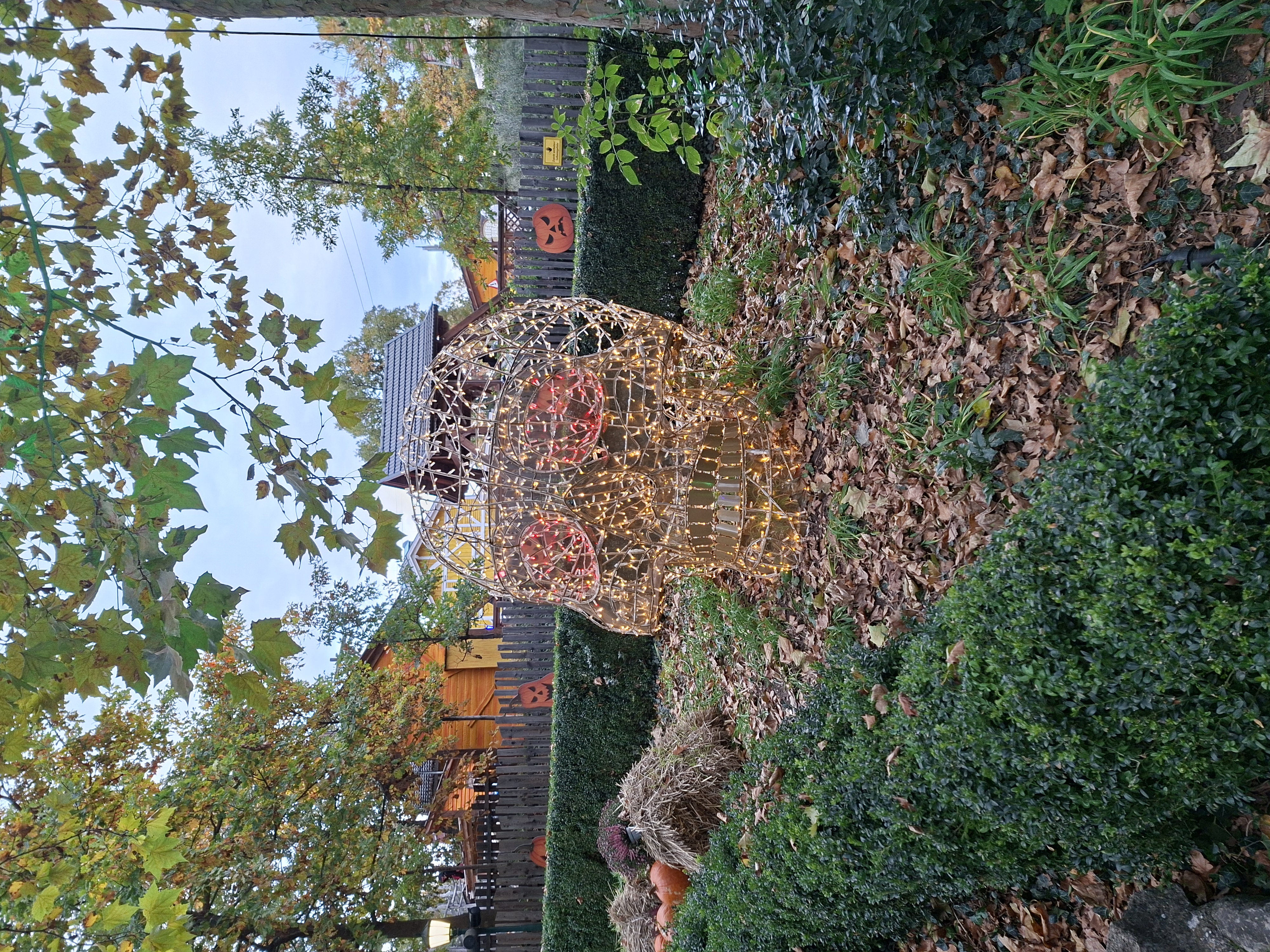 5TFgbsVtrA9kzu4C.jpg