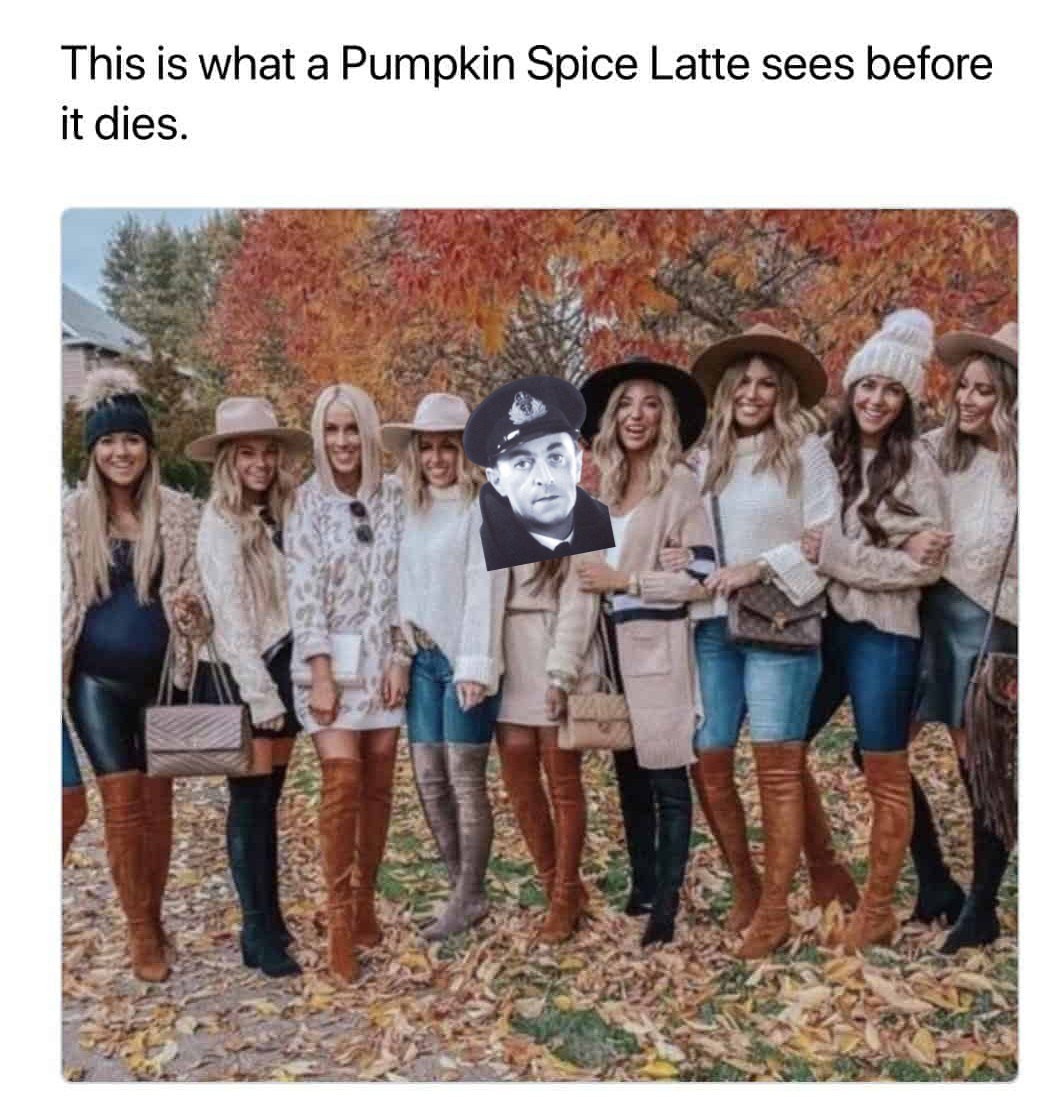 mnS1XPvSbkFxhCX9.jpg