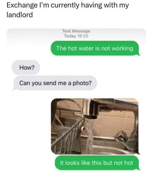 5mdnJCmZZRVIcf4o.jpg