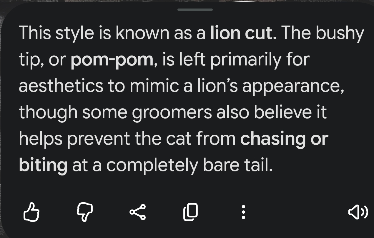 YKjq9VJPzpgBNmUP.jpg